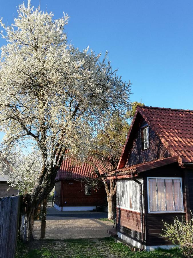 Domek Zapiecek Białowieża Kültér fotó